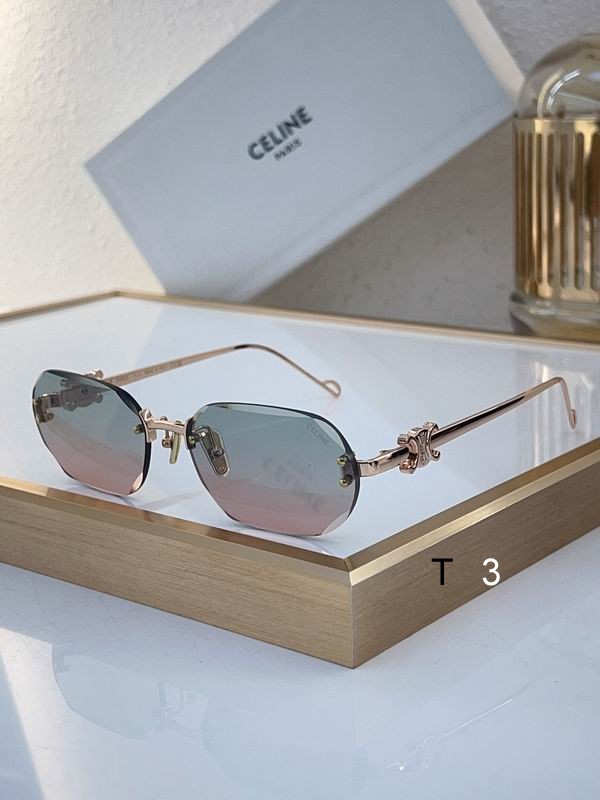 Celine Sunglasses ID:20240804-49